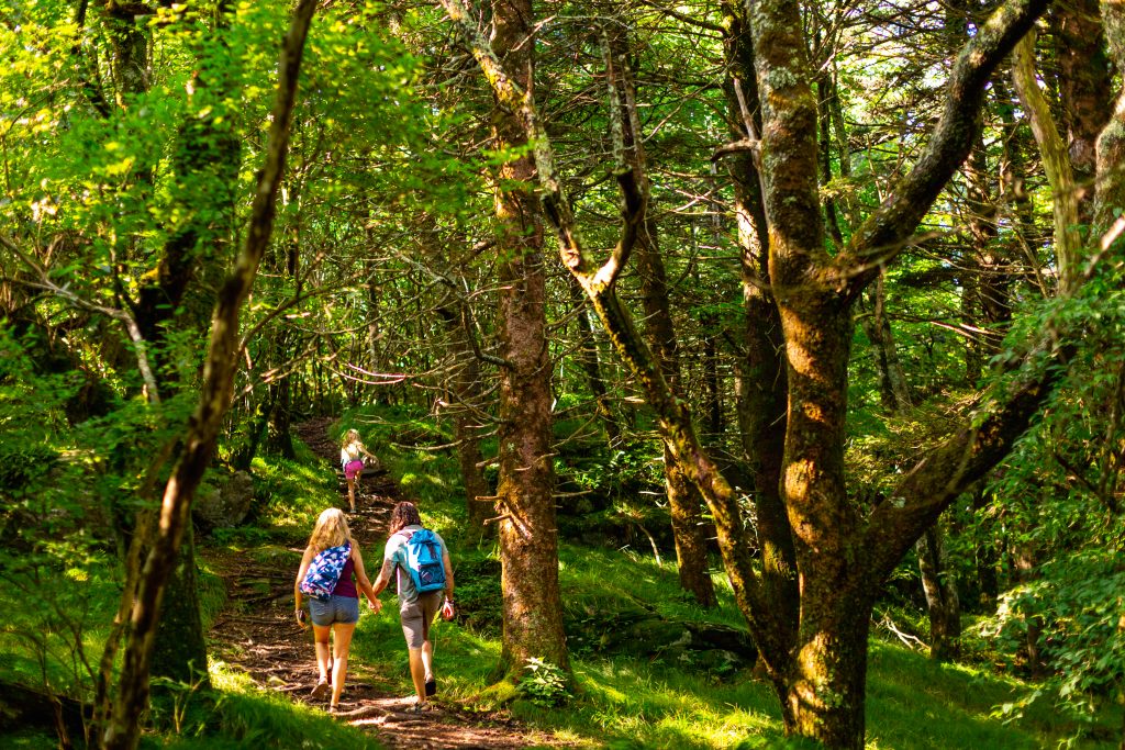 a man and woman hold hands while they hike down a woodland trail. ahead of them a young girl is running up the trail.